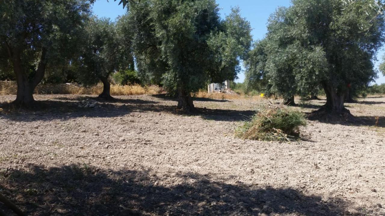 Serra Niedda Resort & Agriturismo Sorso Kültér fotó