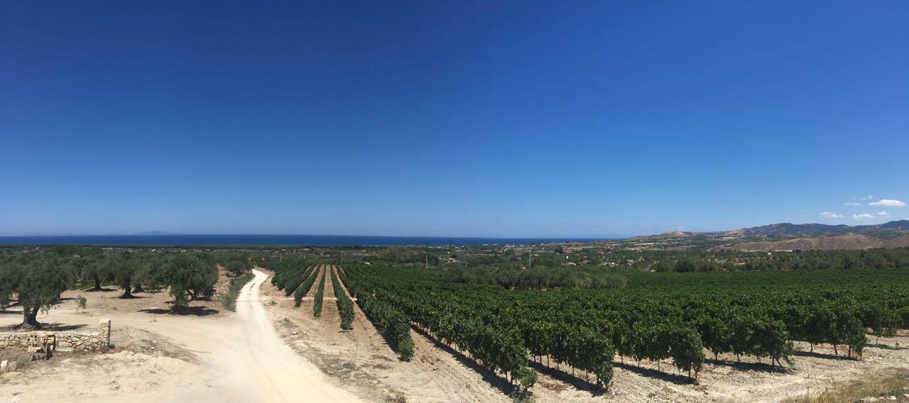 Serra Niedda Resort & Agriturismo Sorso Kültér fotó
