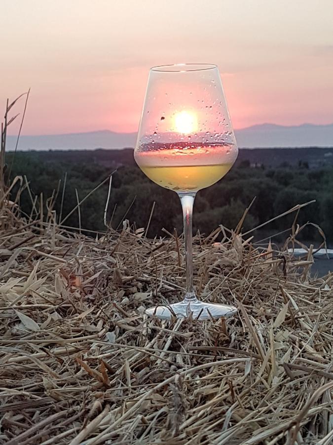 Serra Niedda Resort & Agriturismo Sorso Kültér fotó